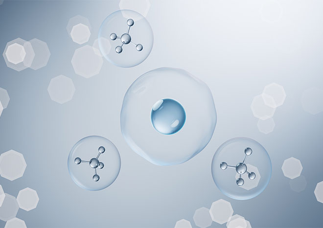 About CellStore About CellStore