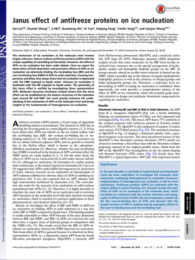 Janus Effect of Antifreeze Proteins on Ice Nucleation