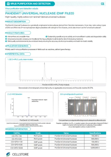PanDemit Universal Nuclease