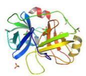 trypliber-3d-structure-diagram.jpg