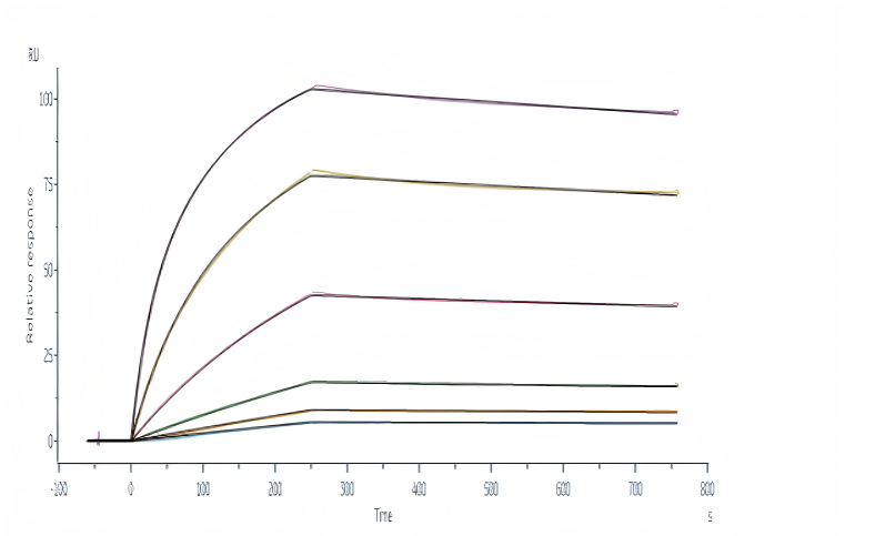 comparison-o-fthe-solubility-between-il-15pro-and-il-15.png