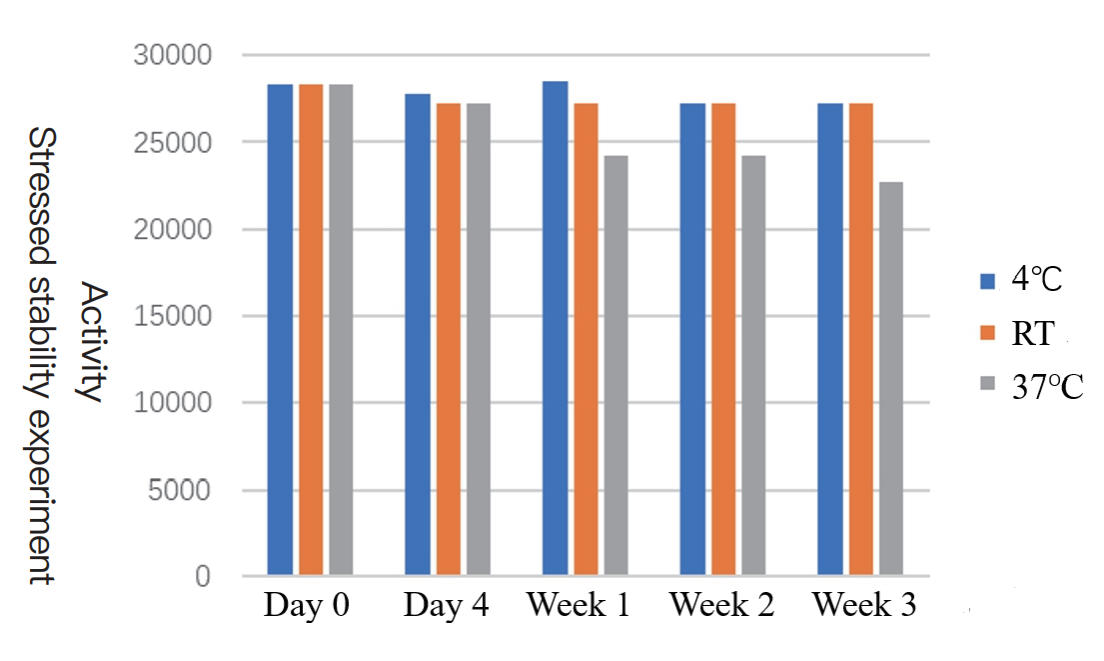 Activity Stressed Stability Experiment