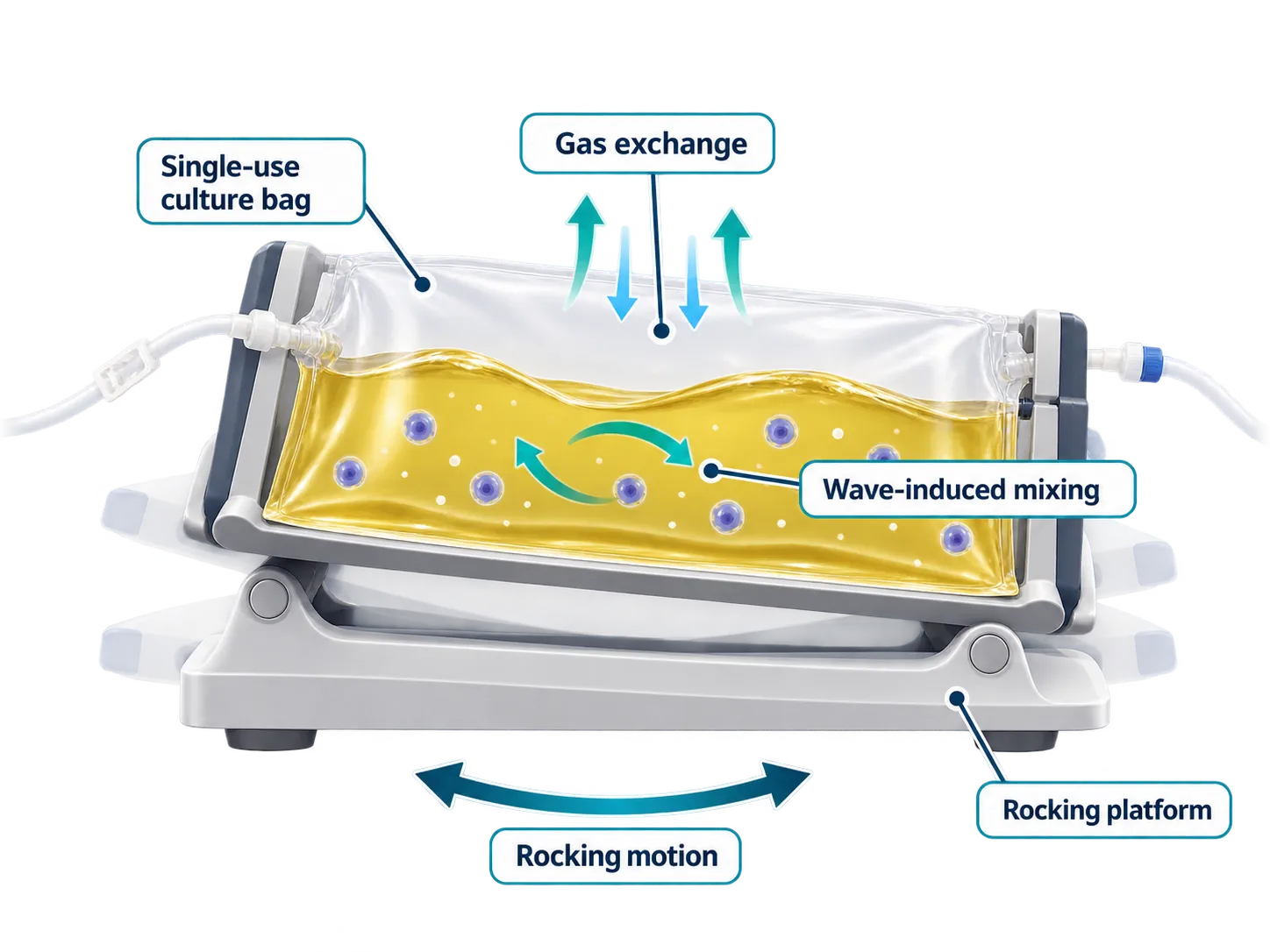 advantages-of-eden-rocking-bioreactor-system.png